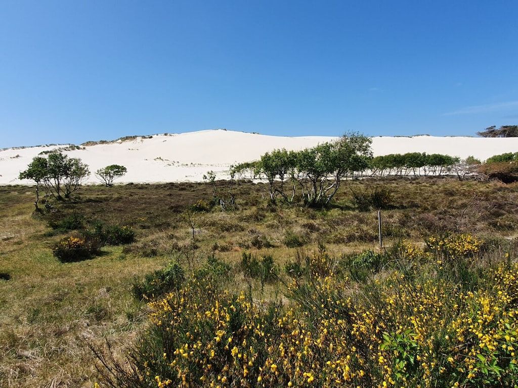 341513 in NB Callantsoog - Foto 22 van 23