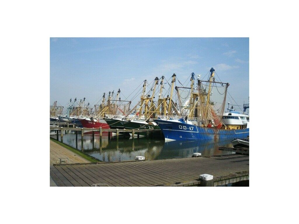 235877 in Ouddorp - Foto 38 van 43