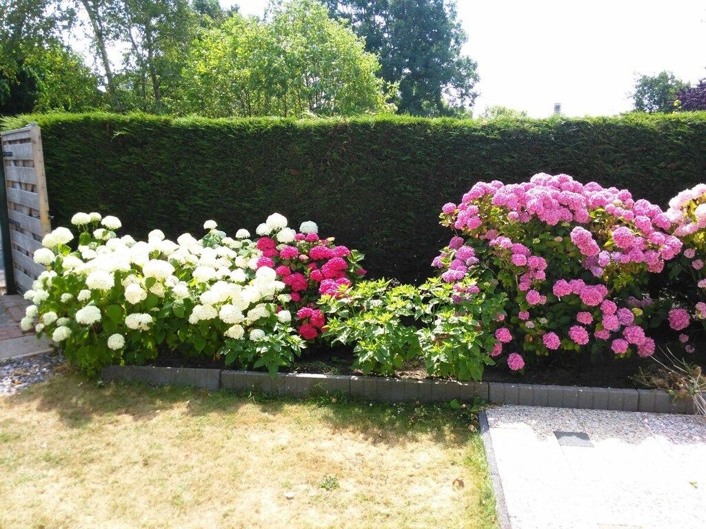 452191 in Ouddorp - Foto 10 van 40