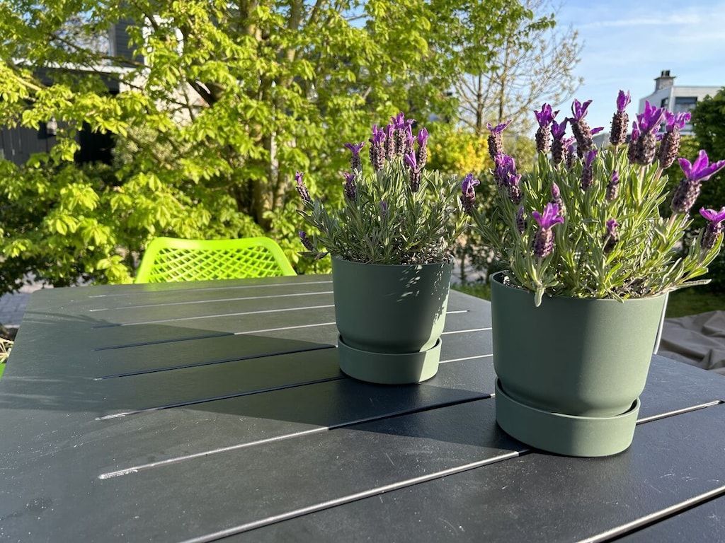 457093 in Ouddorp - Foto 6 van 33