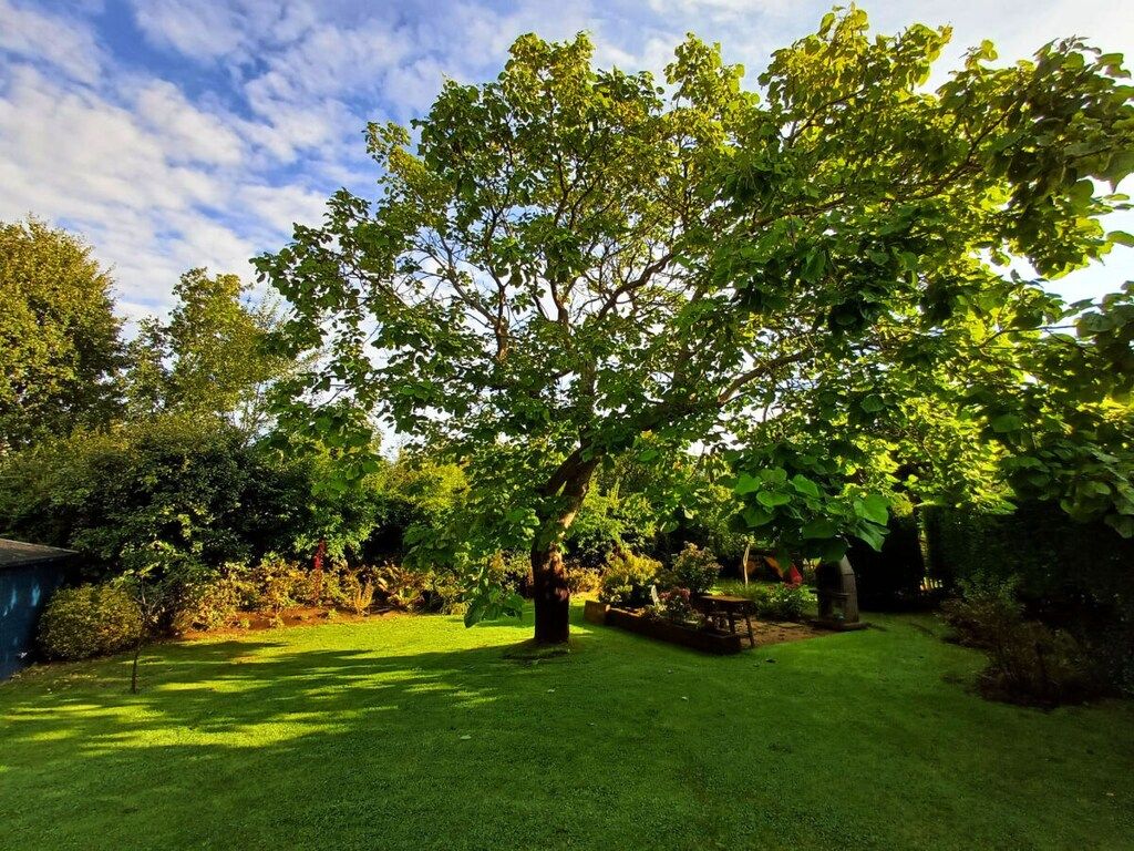 293298 in Ouddorp - Foto 12 van 34