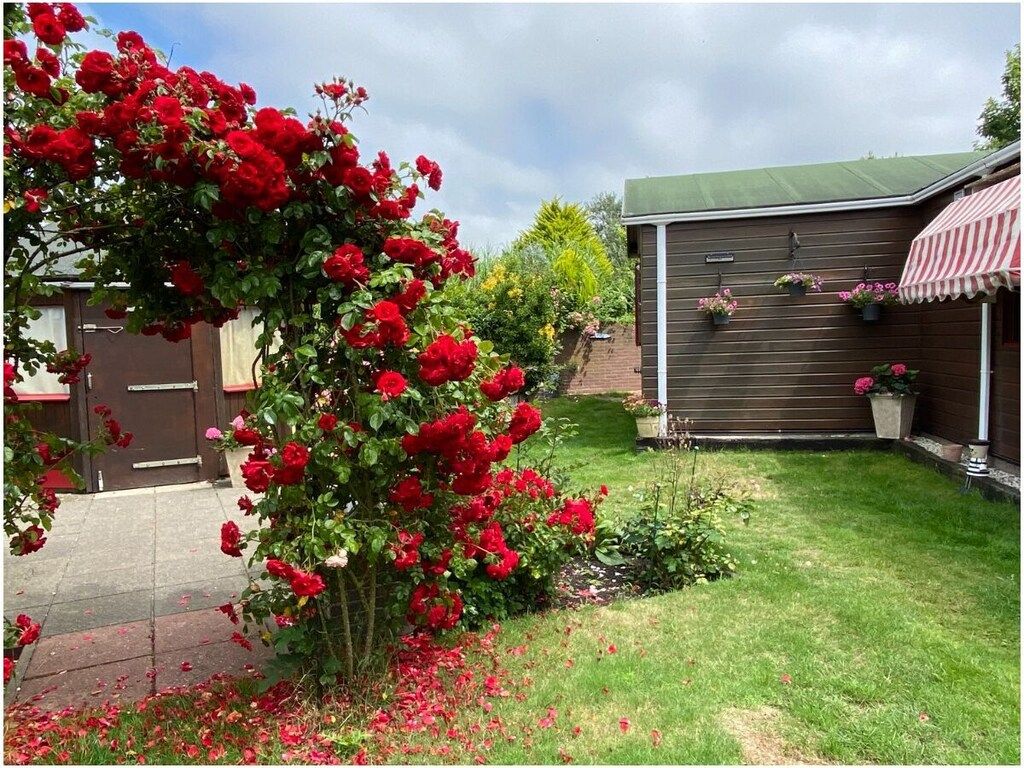 482704 in Ouddorp - Foto 7 van 33