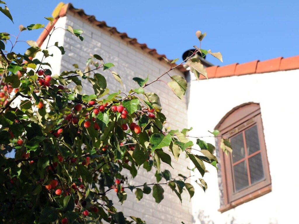 165148 in De Cocksdorp - Foto 21 van 26