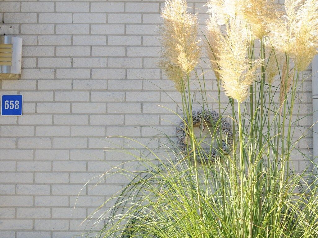 165148 in De Cocksdorp - Foto 22 van 26