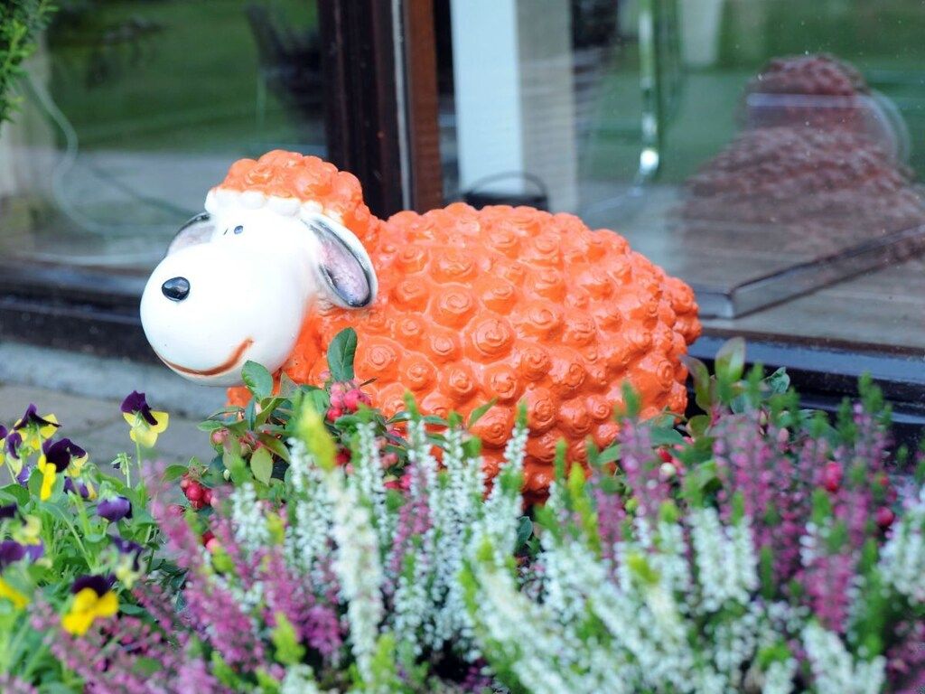 165148 in De Cocksdorp - Foto 3 van 26