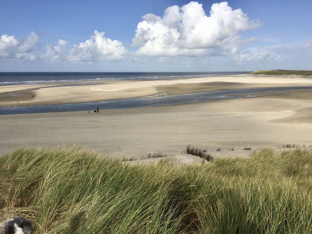 298007 in De Koog - Foto 31 van 41