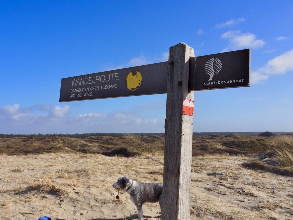 298007 in De Koog - Foto 37 van 41