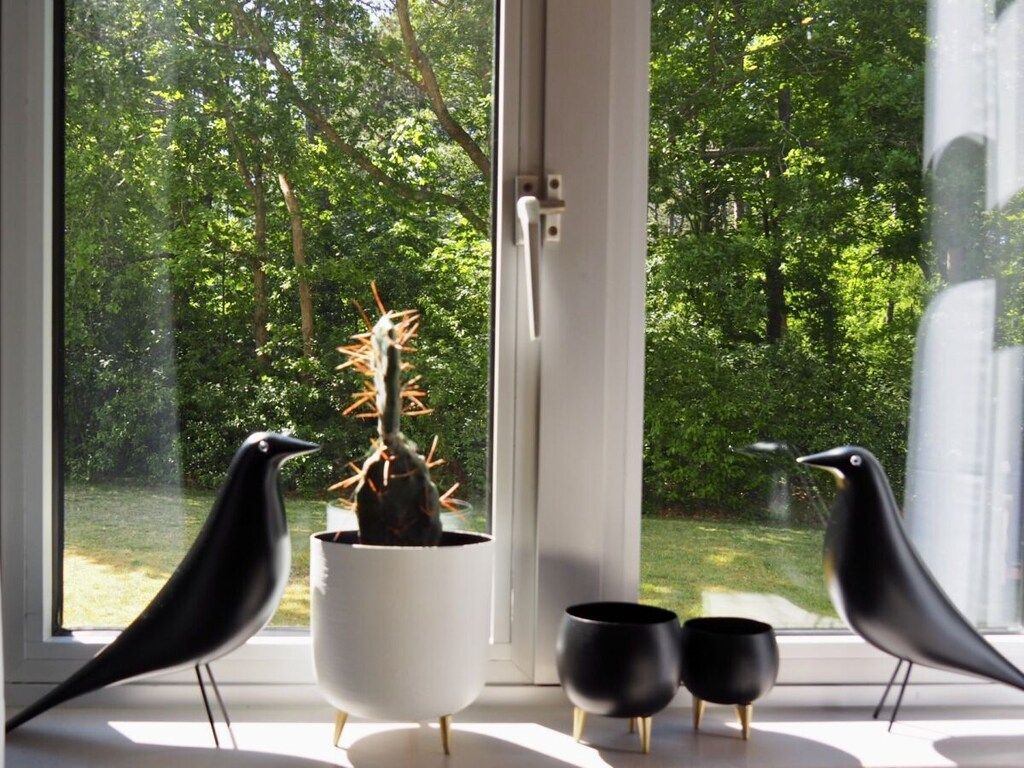 298007 in De Koog - Foto 25 van 41