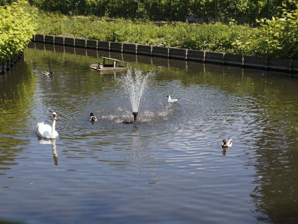 78693 in Ouddorp - Foto 21 van 24