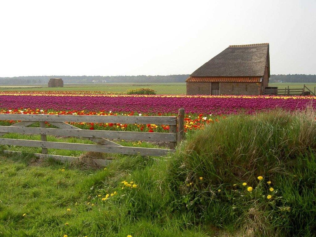 4117 in De Koog - Foto 17 van 21