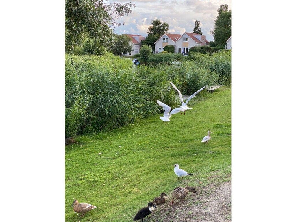 485036 in Makkum - Foto 31 van 45