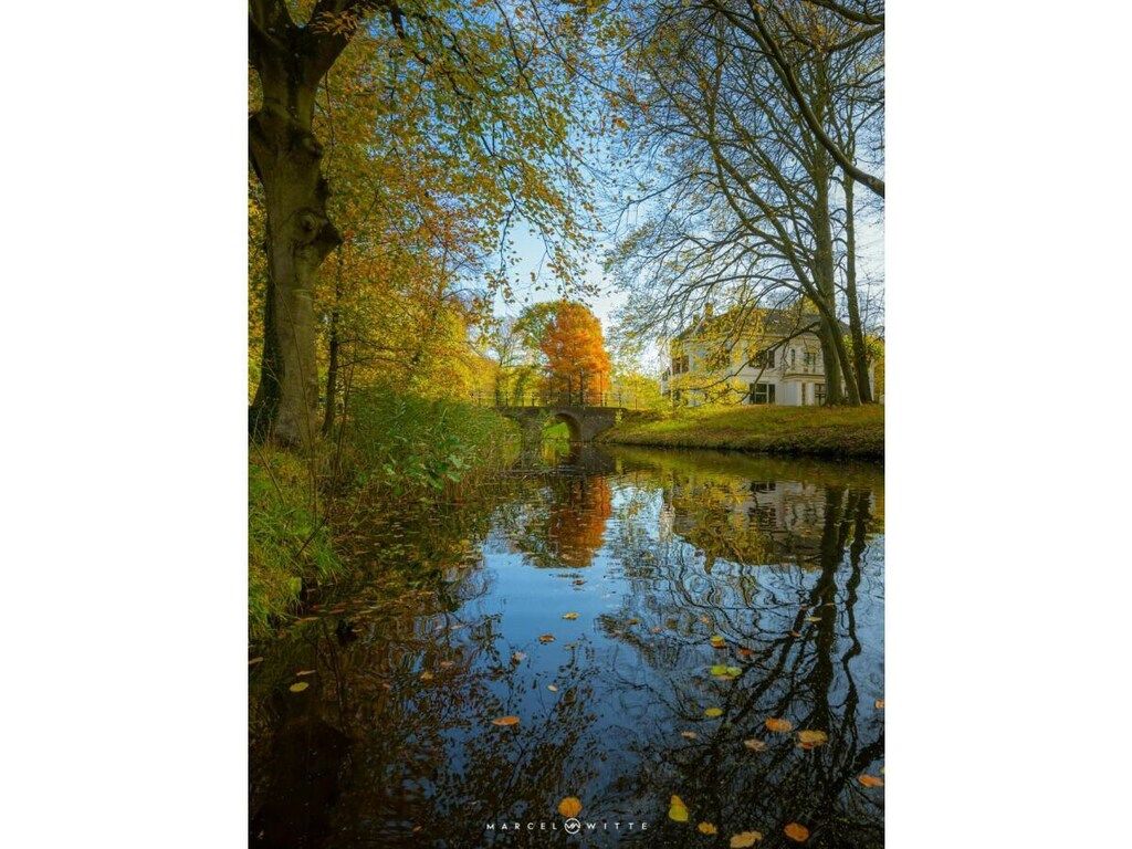 329544 in Bergen - Foto 11 van 16