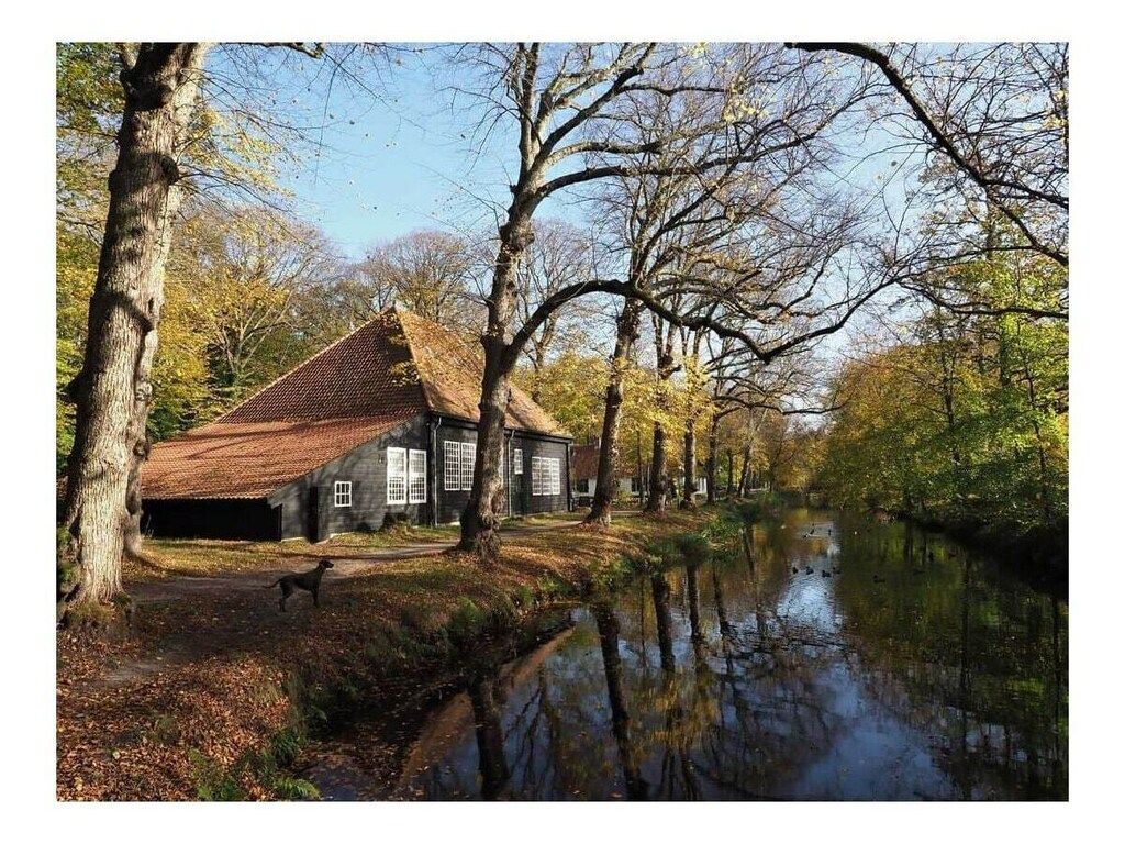 329544 in Bergen - Foto 13 van 16