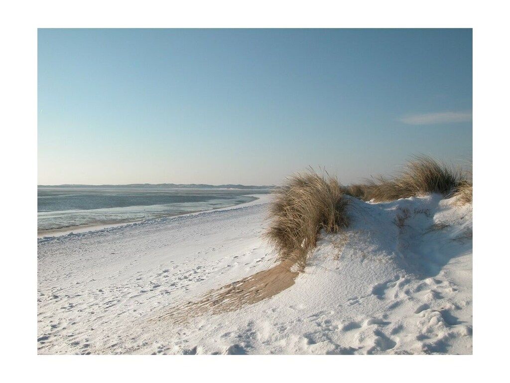 329544 in Bergen - Foto 14 van 16