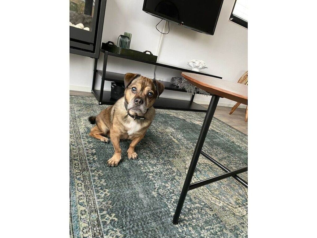 319888 in Olburgen - Foto 24 van 34