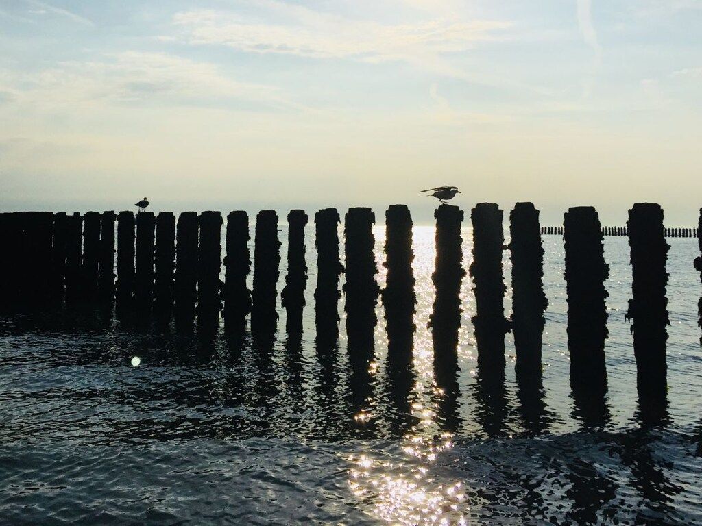 221531 in Westkapelle - Foto 19 van 20