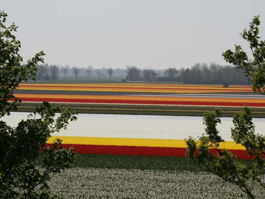 547156 in Egmond aan Zee - Foto 37 van 37