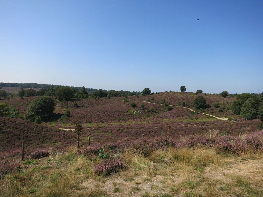 452844 in Olburgen - Foto 27 van 34