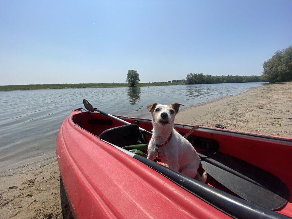 452844 in Olburgen - Foto 34 van 34