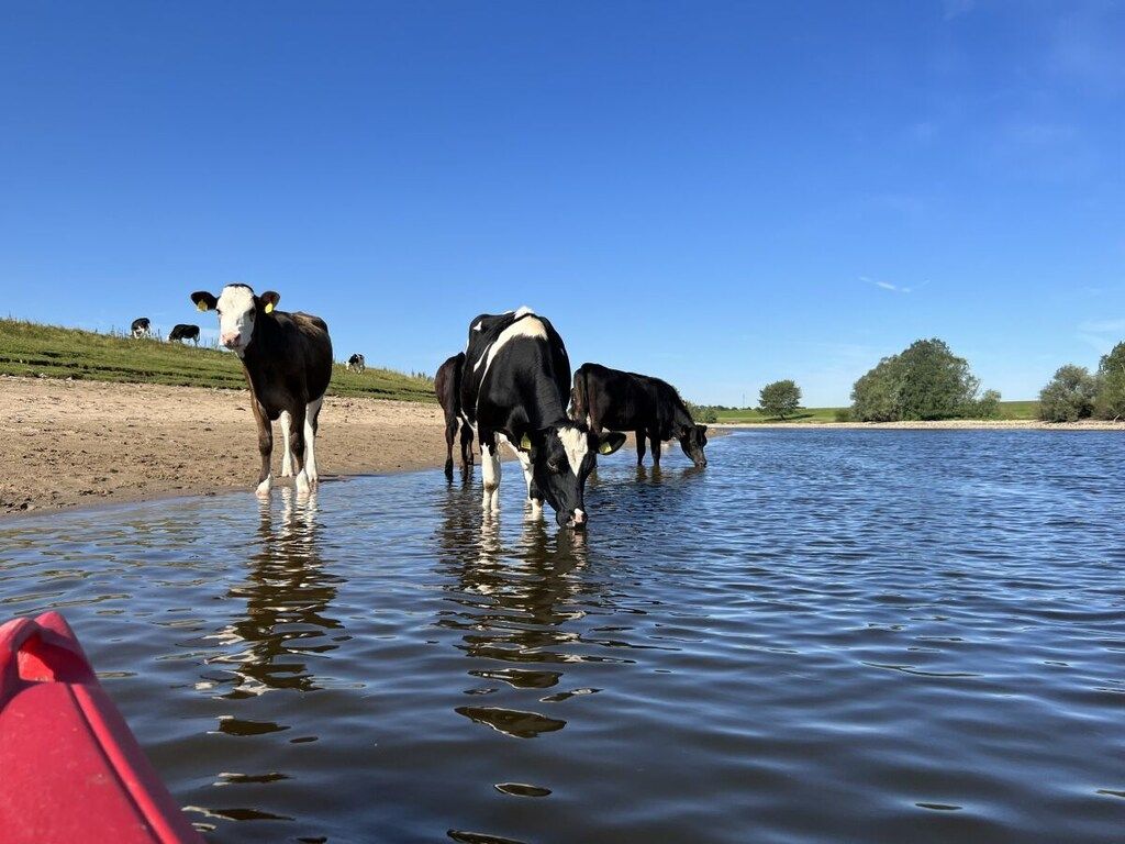 452844 in Olburgen - Foto 23 van 34