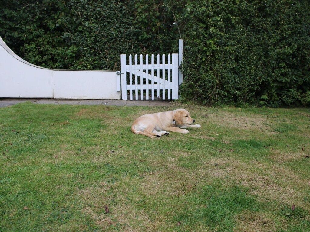 3000 in Brouwershaven - Foto 8 van 28