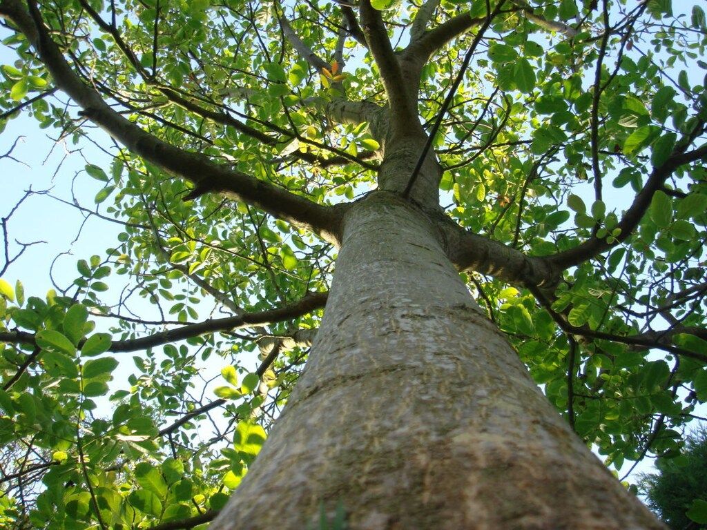 25106 in Ouddorp - Foto 4 van 30