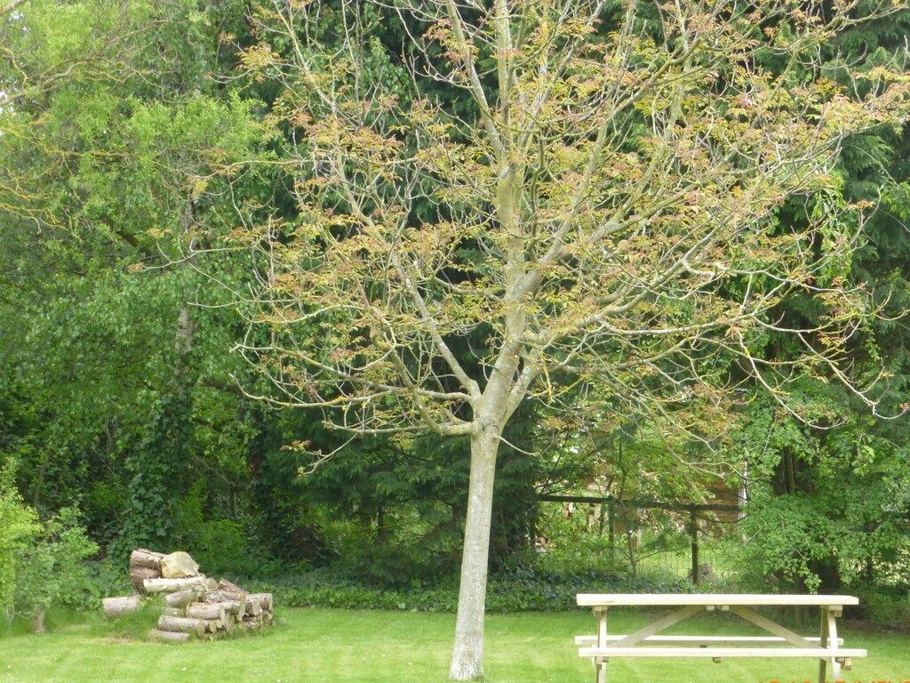 25106 in Ouddorp - Foto 6 van 30