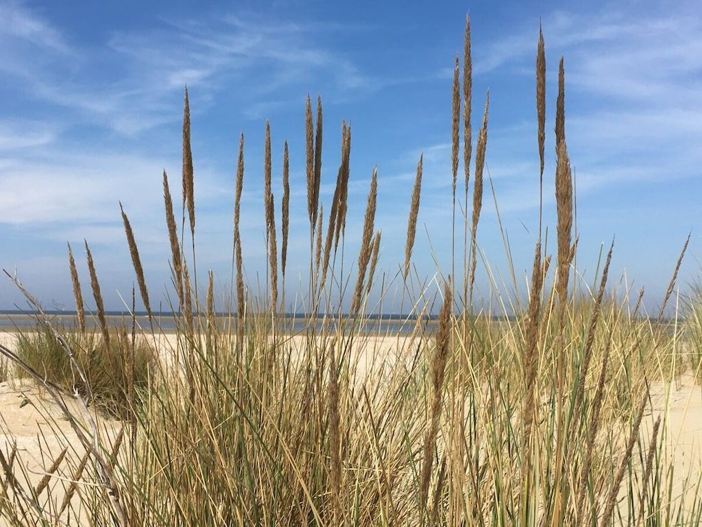 25106 in Ouddorp - Foto 13 van 30