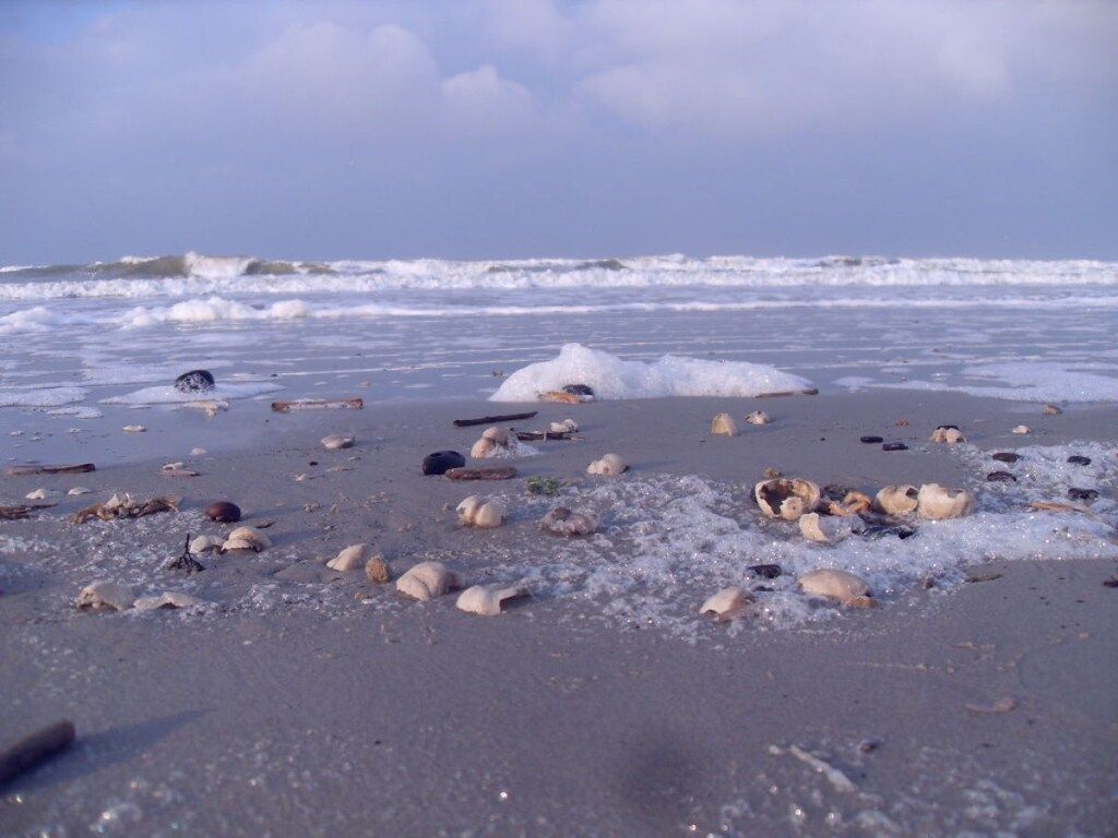 44615 in Buren Ameland - Foto 11 van 20