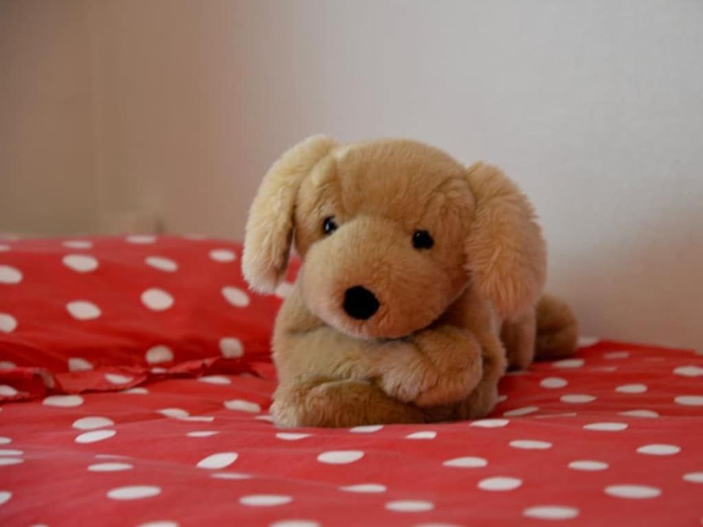 143562 in Nes - Foto 10 van 20