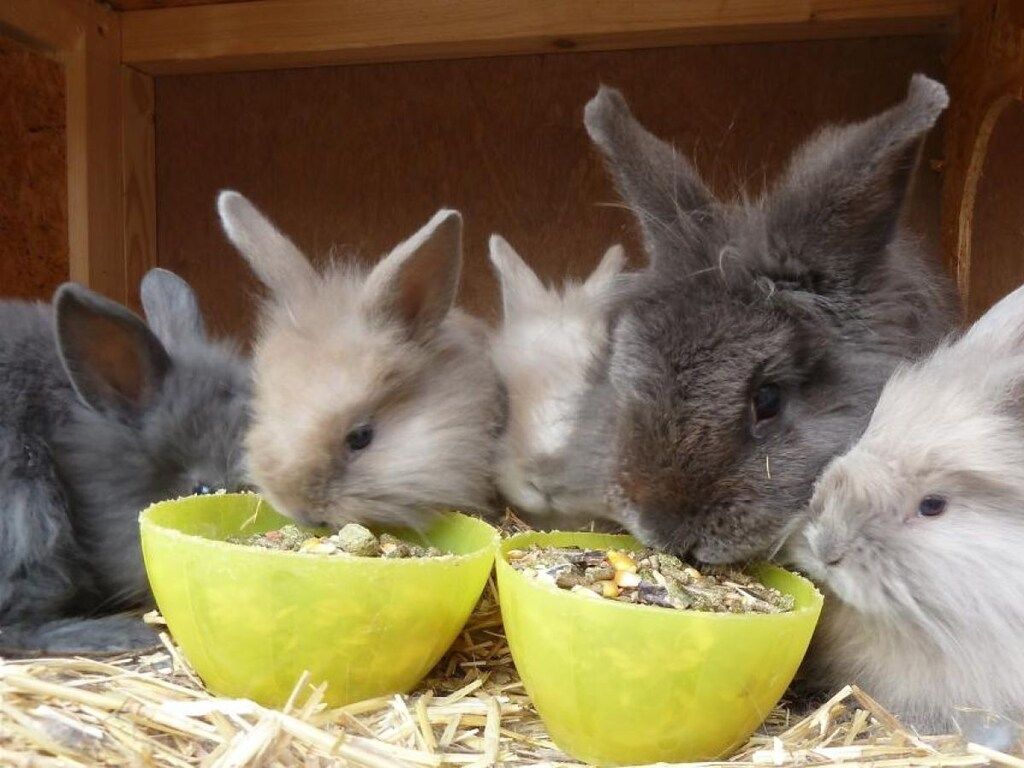 143562 in Nes - Foto 20 van 20