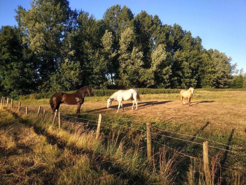 235675 in Heemskerk - Foto 13 van 22