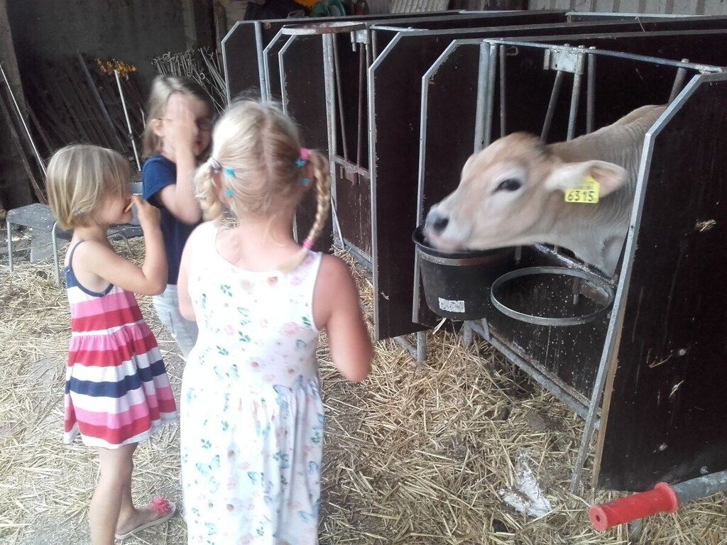 592323 in Heeg - Foto 17 van 20