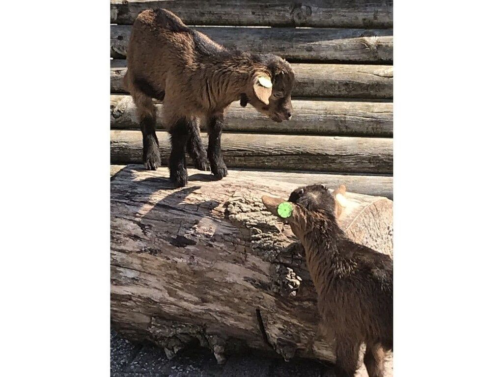 384006 in Makkum - Foto 29 van 40