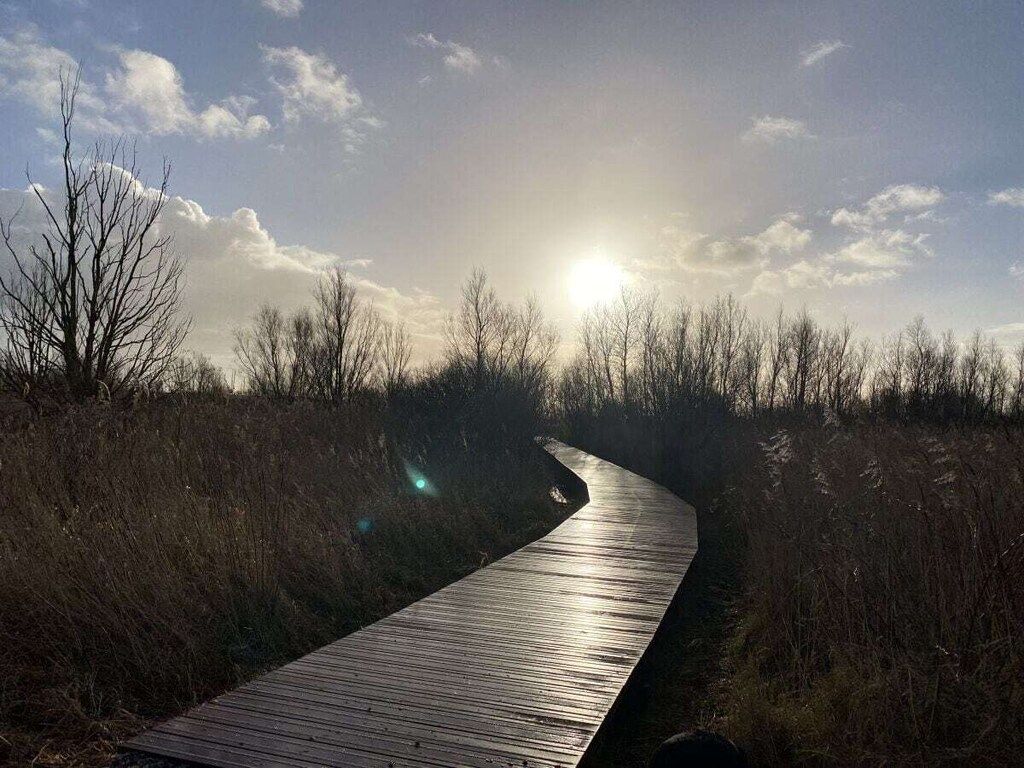 383830 in Makkum - Foto 22 van 40