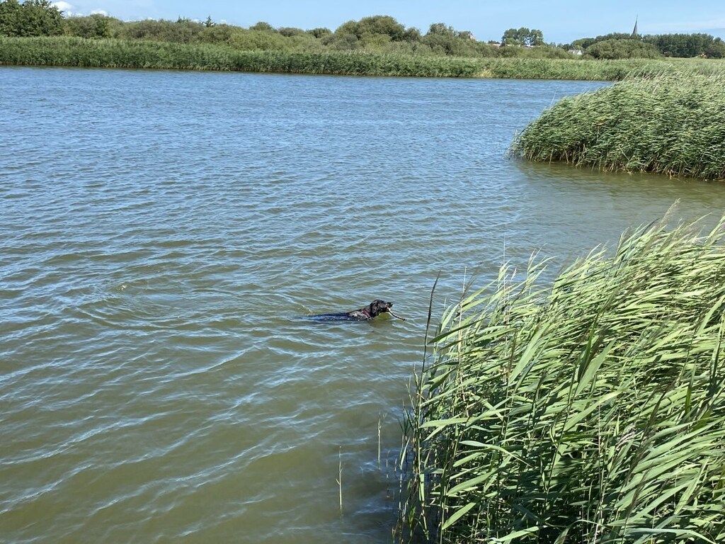 383830 in Makkum - Foto 28 van 40