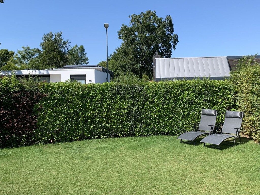 637765 in Zoutelande - Foto 3 van 69