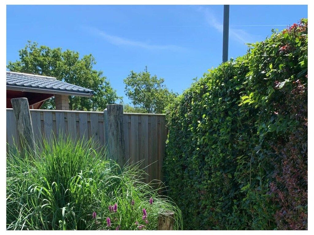 637765 in Zoutelande - Foto 8 van 69