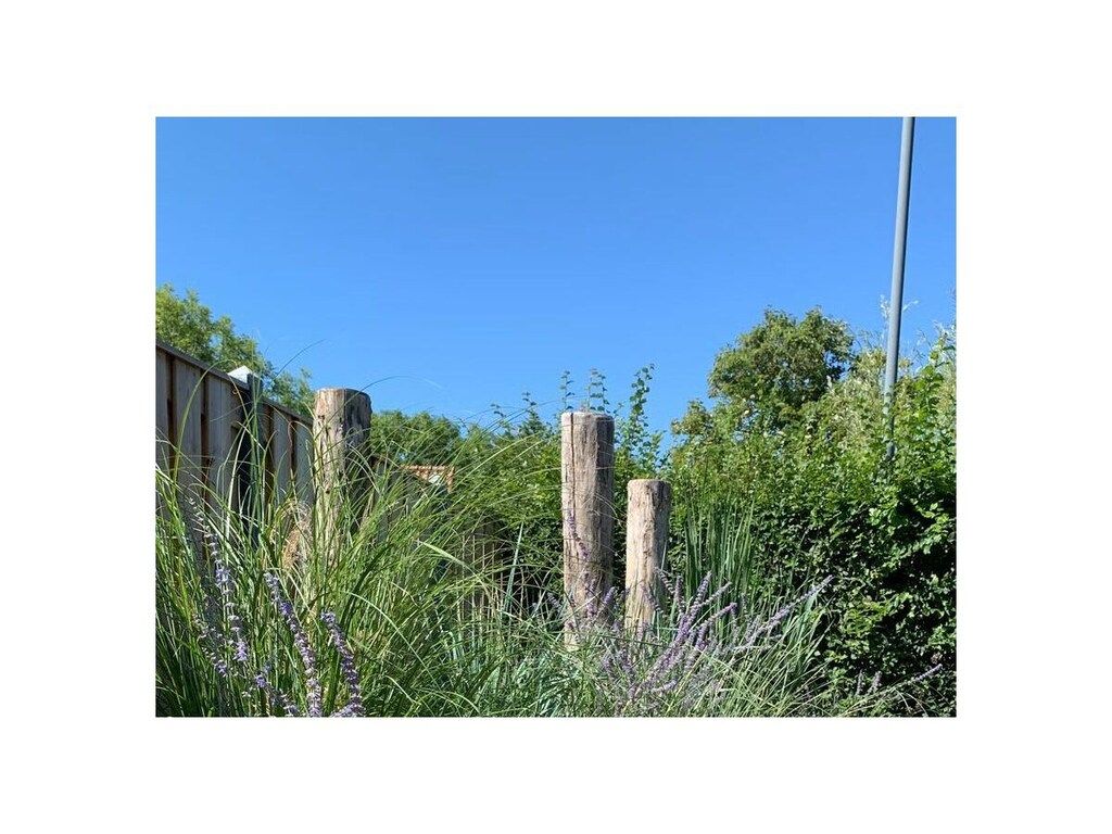 637765 in Zoutelande - Foto 9 van 69