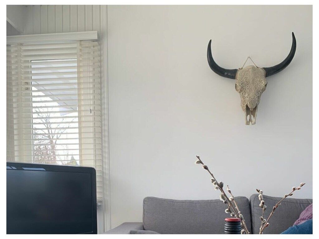 637765 in Zoutelande - Foto 39 van 69