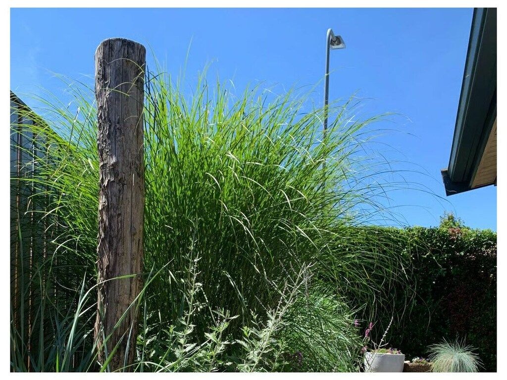 637765 in Zoutelande - Foto 13 van 69