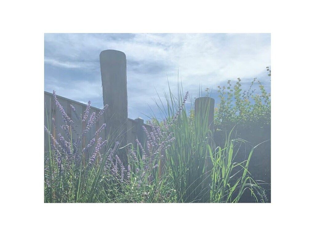 637765 in Zoutelande - Foto 17 van 69