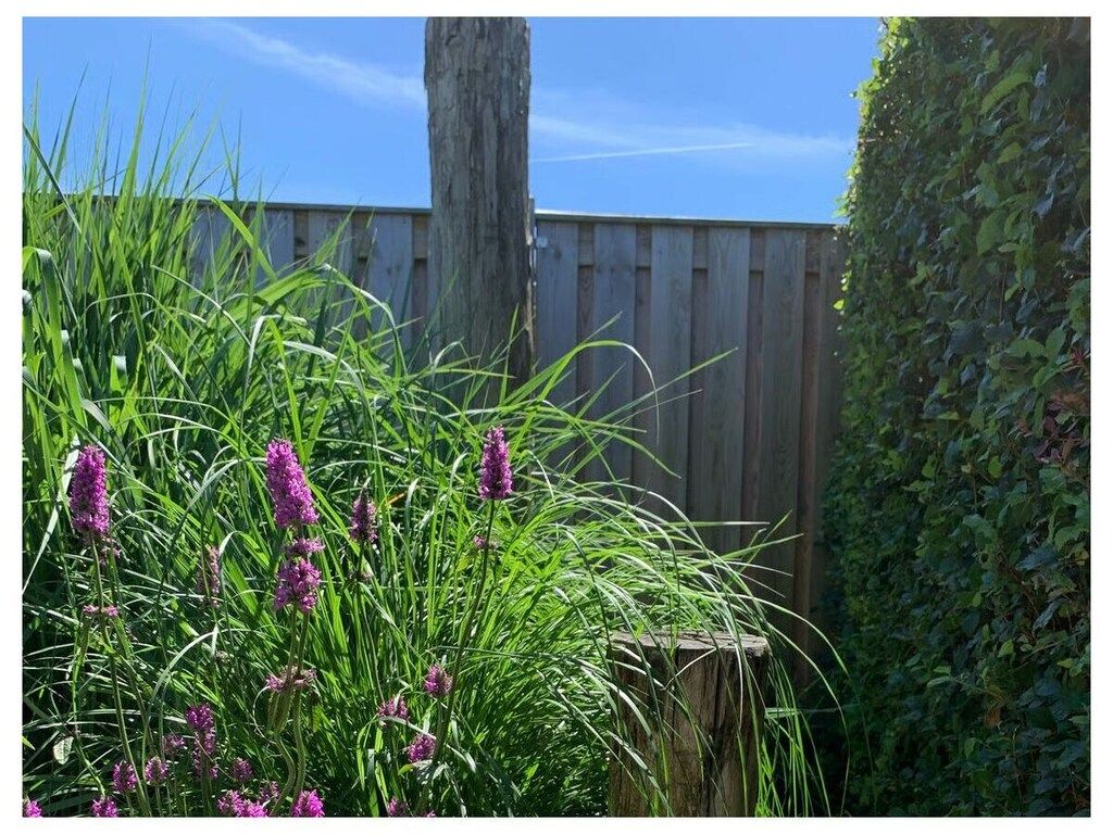 637765 in Zoutelande - Foto 18 van 69