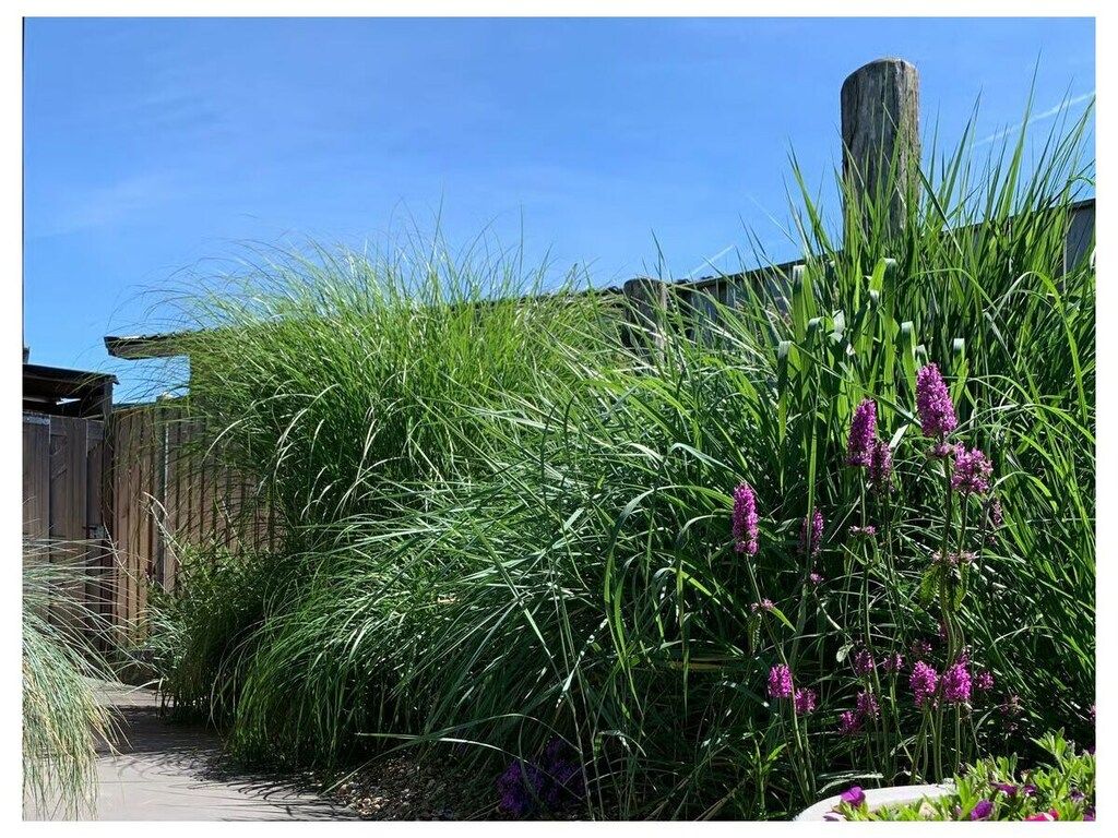 637765 in Zoutelande - Foto 23 van 69