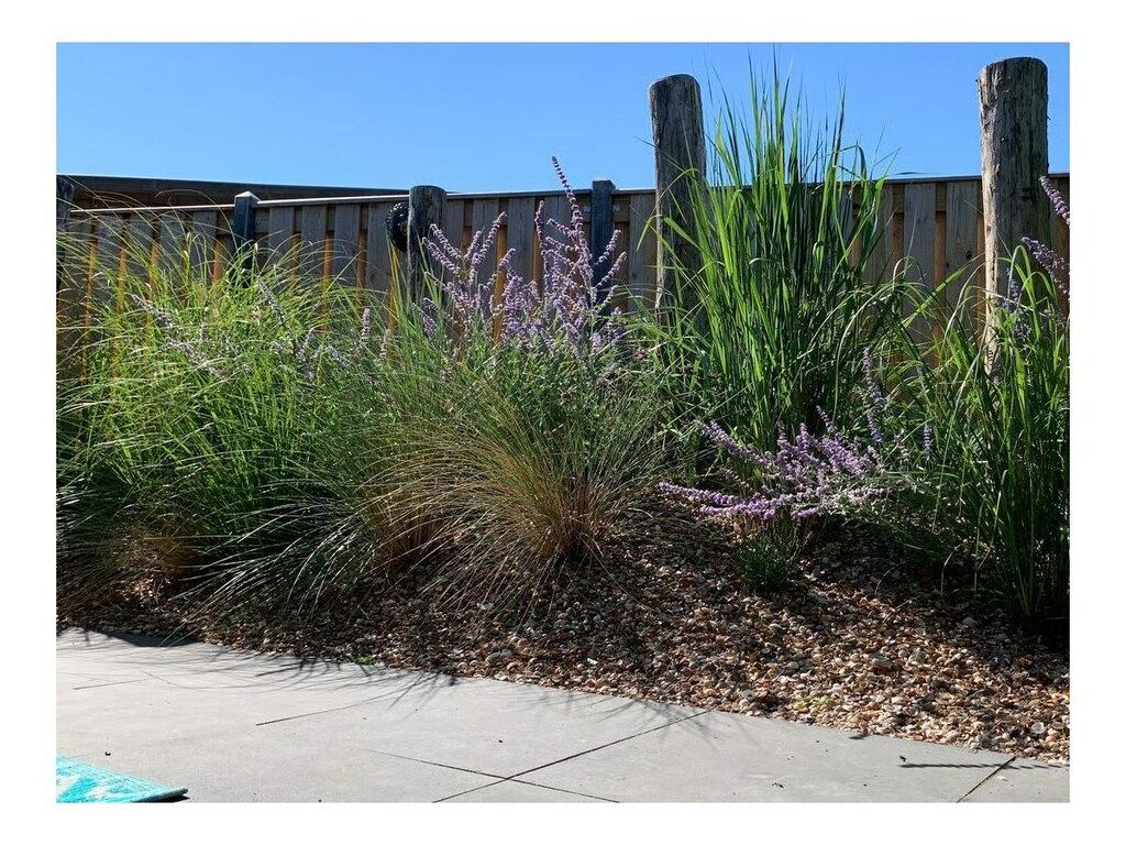 637765 in Zoutelande - Foto 55 van 69