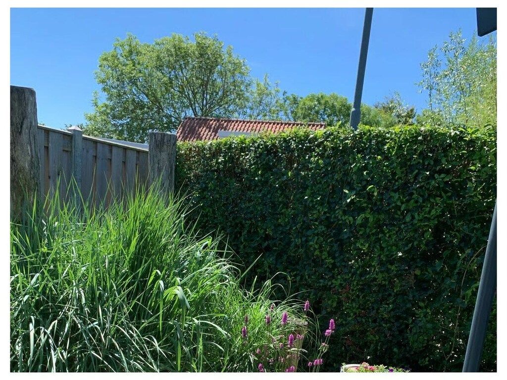 637765 in Zoutelande - Foto 57 van 69