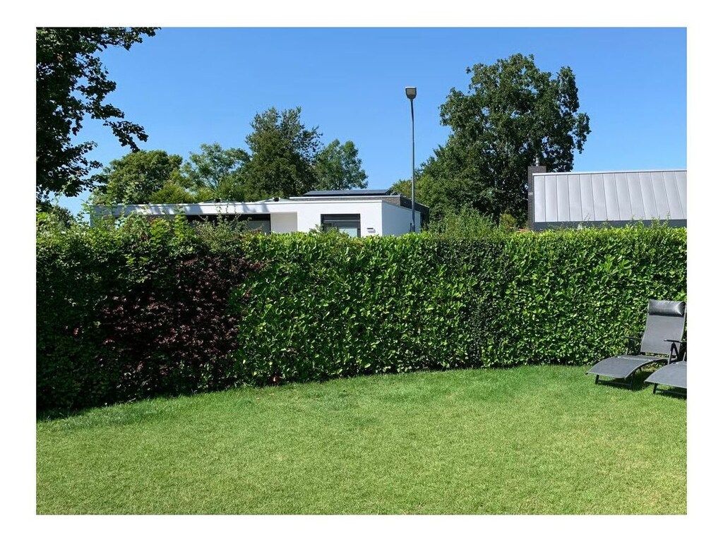 637765 in Zoutelande - Foto 58 van 69