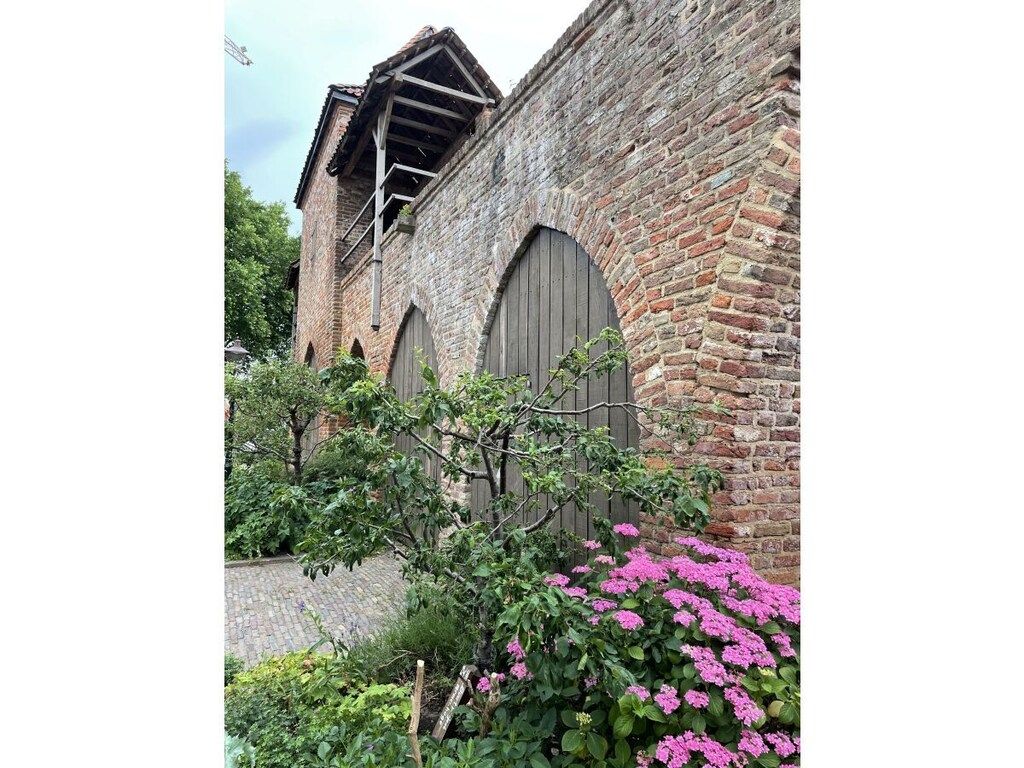 294167 in Olburgen - Foto 24 van 24