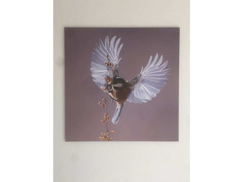 294167 in Olburgen - Foto 14 van 24