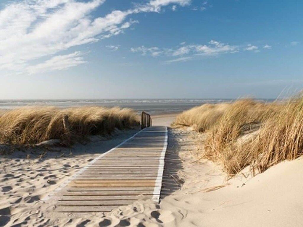 196559 in De Koog, Texel - Foto 18 van 19